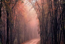 亿万28:瓦塞尔26+6萨瑟27分 坎宁安缺阵活塞大胜马刺.