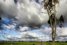 34岁生日快乐:低调传奇坎特.