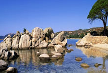 亿万28:【文化评析】亚冬会展现中国冰雪文化魅力光明网-《光明日报.